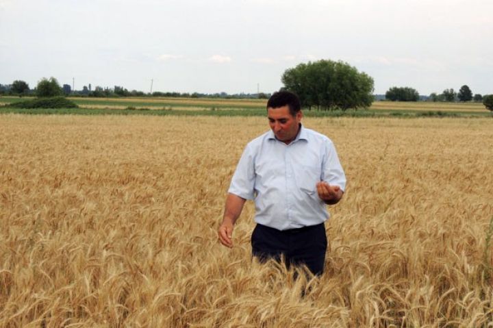 "Xırda fermerlər aqrar sahəyə problemdir" - birləşməli olacaqlar