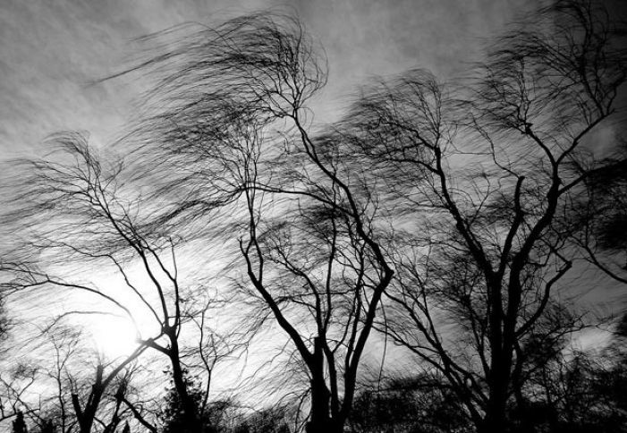 Güclü külək XƏBƏRDARLIĞI EDİLDİ