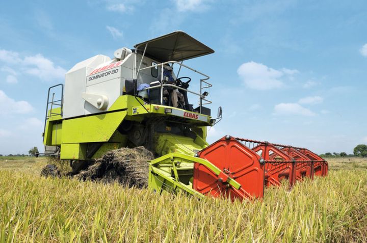 2020-ci ildə çəltikçilikdə orta məhsuldarlıq göstəriciləri yüksəlib