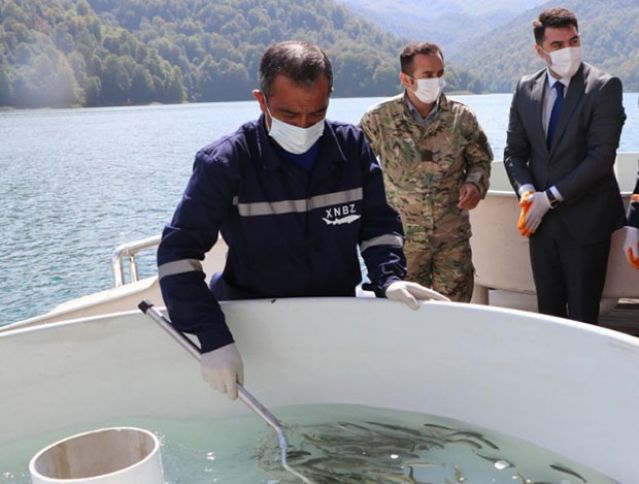 Göygöl və Maralgölə körpə forel balıqları buraxıldı