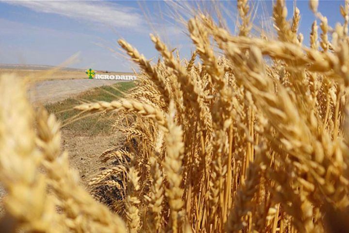 Aqrar sahəyə marağı olan şəxslər üçün böyük imkan - ŞİRKƏT PULSUZ ÖYRƏDƏCƏK