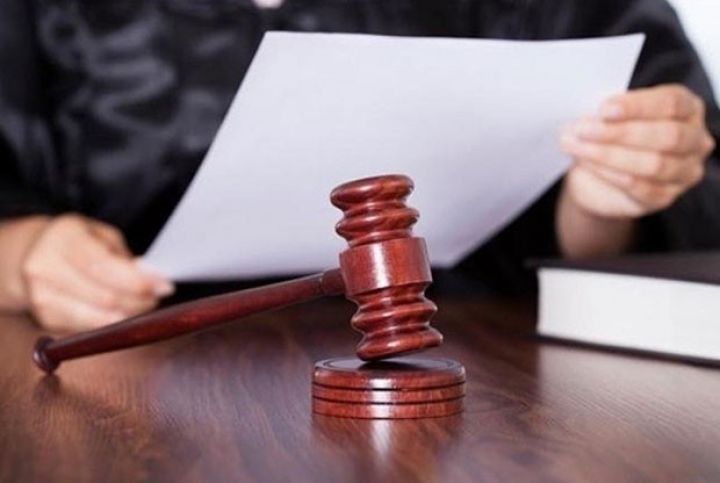 Taxta məhsulları idxal edən şirkət cərimələnib