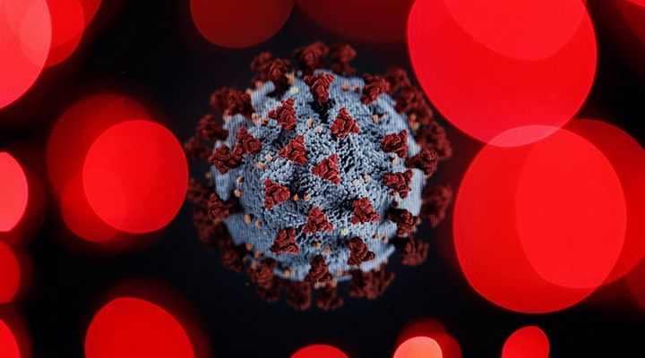 Azərbaycanda koronavirusun ən çox yayıldığı bölgələr məlum olub