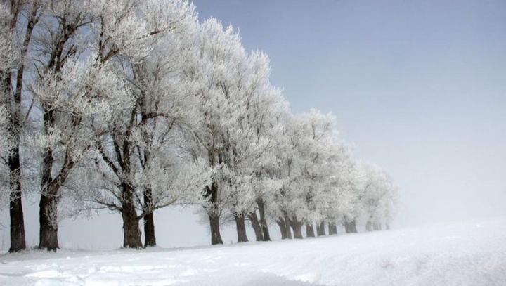Sabahın hava proqnozu açıqlandı