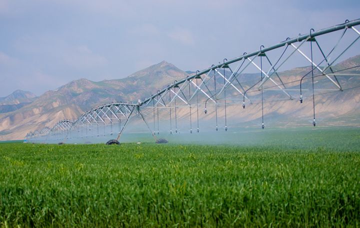 "Fəaliyyətlərində nöqsanlar aşkarlanmış aqroparkların statusları ləğv olunacaq"