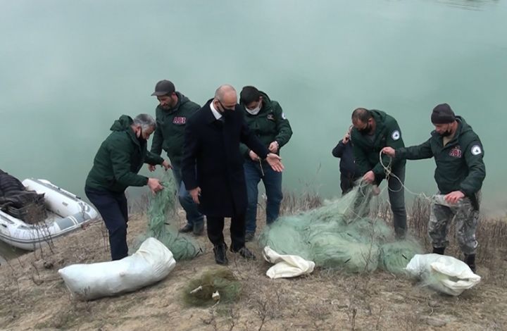 "Bəzi şəxslər göstərilən rəqəmlərdən dəfələrlə artıq balıq tutur"