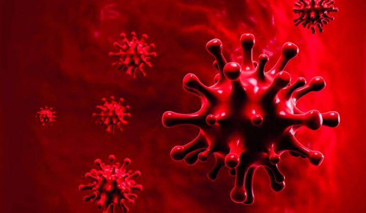 Azərbaycanda koronavirus ilə bağlı son vəziyyət açıqlandı