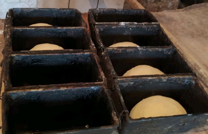 Antisanitar şəraitdə fəaliyyət göstərən çörək istehsalı müəssisəsi aşkar olunub - FOTOLAR