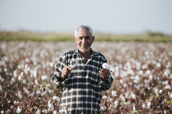 Bitkilərin sığortası üçün müraciətlərin - TARİXLƏRİ AÇIQLANDI