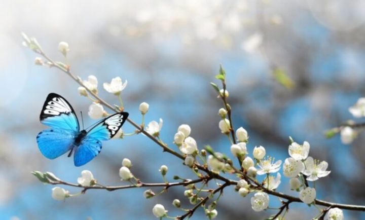 Sabahın hava proqnozu açıqlandı