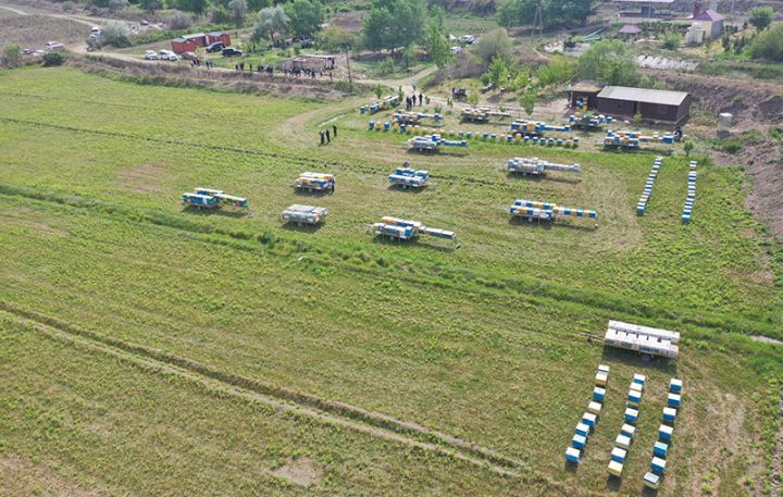 Arıçılaq təsərrüfatlarının Qubadlı yaylaqlarına köçünə start verildi