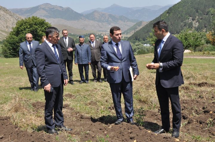 "Gədəbəy kartofu sortları tamamilə aradan çıxa bilər. Yarım milyon tona yaxın yun qırxılıb, çölə atılıb"