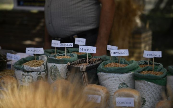 Azərbaycanda toxum sərgi-satış yarmarkalarına start verilib