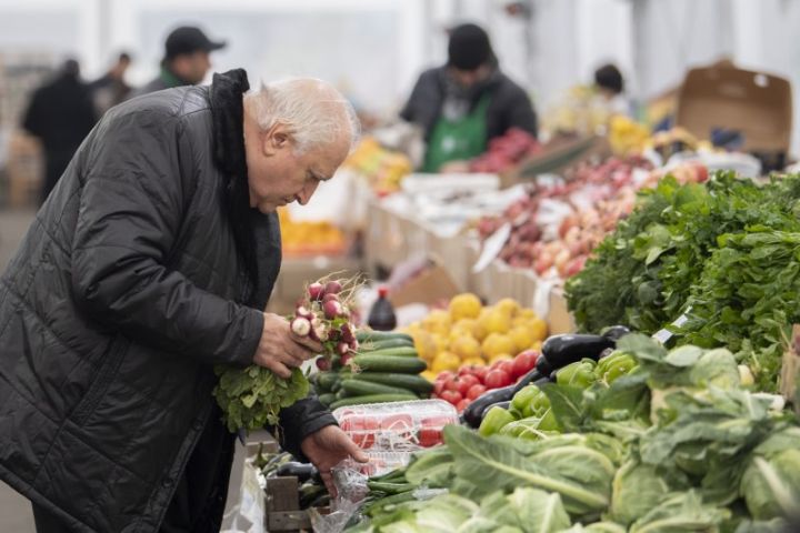 18-19 fevral tarixlərində “Kənddən Şəhərə” yarmarkaları təşkil olunacaq