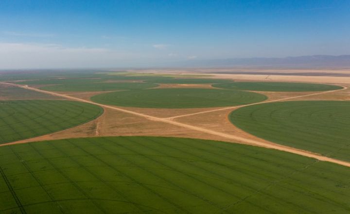 “Agro Dairy” şirkəti hansı torpaqları bərpa edir? - FOTO