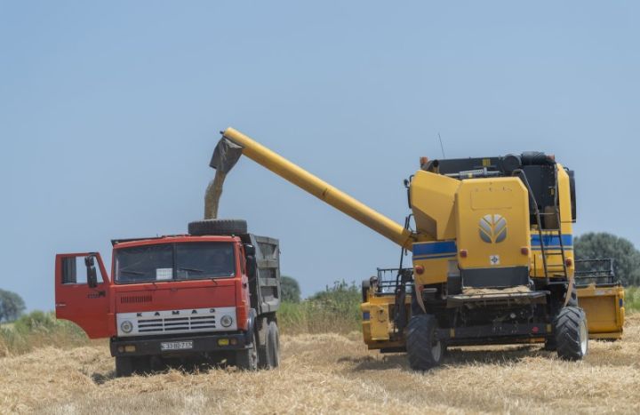 Nazirlik 1 milyon tondan çox məhsul yığıldığını bildirir