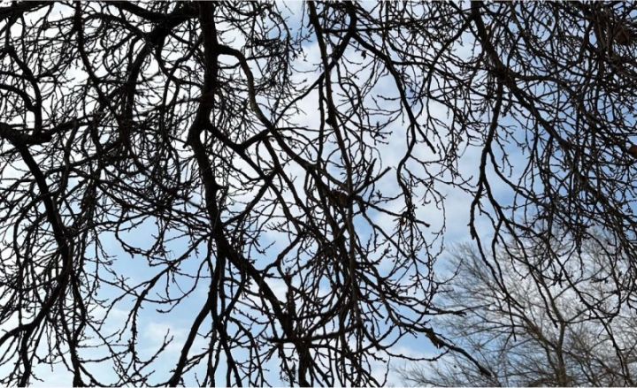 Sabahın hava proqnozu açıqlandı