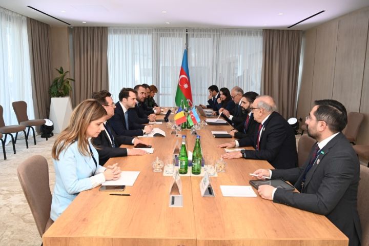 SOCAR-ın prezidenti Rumıniyanın energetika naziri ilə görüşüb