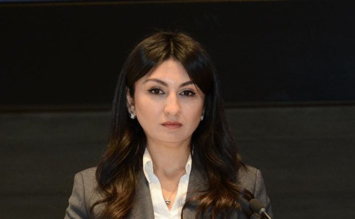 "Vergidən yayınmanın ağır cəzası olmalıdır" - DVX-nin rəis müavini