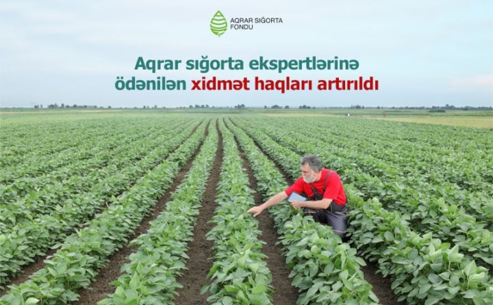 Aqrar sığorta ekspertlərinə ödənilən xidmət haqları artırılıb  - MƏBLƏĞLƏR