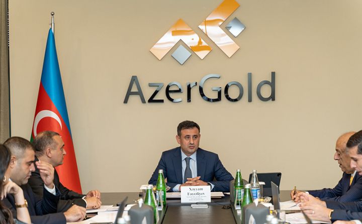 "Hasilat və satış həcmləri kəskin azalaraq, plandan aşağı olub" - “AzerGold”da iclas