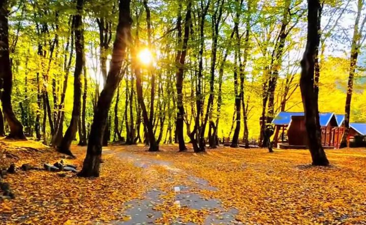 Zəfər Gününün hava proqnozu açıqlanıb