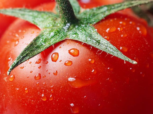 Pomidor üzrə yerli təminat daxili tələbatı üstələyib – 126,9%
