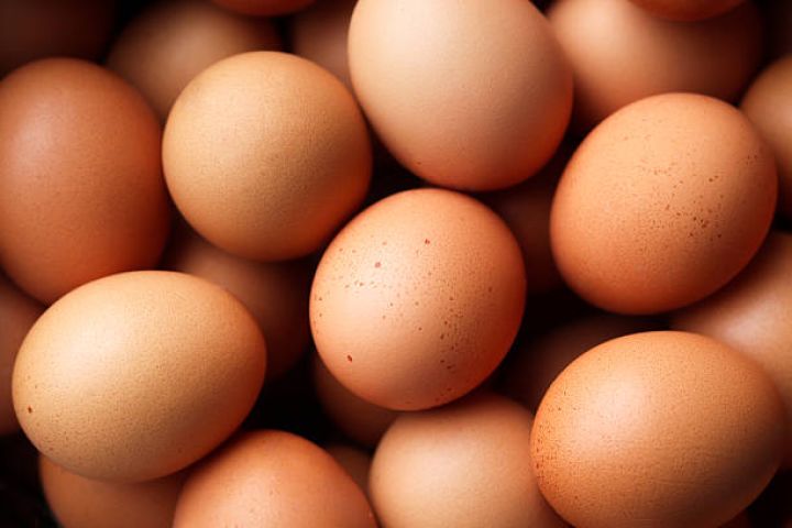 Yumurta üzrə yerli təminat daxili tələbatı üstələyib – 104%
