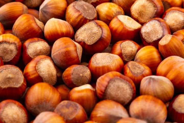 Azərbaycanın xaricə fındıq satışından gəliri  artıb - 171 MİLYON DOLLARA YAXIN QAZANC