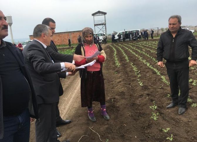 Kəndlilərə daha bir müjdə: çıxarışlar əkin sahələrində təqdim olunur