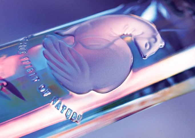 “Abşeron-Şərab” ASC Fransa içkisinin distribyutoru oldu