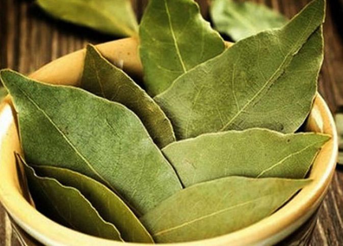 İxrac həllini taparsa, Azərbaycan Türkiyənin hakim olduğu bazara daxil ola bilər