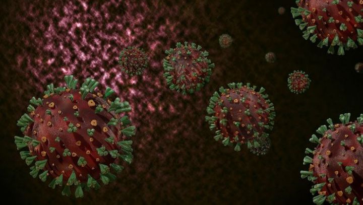 Azərbaycanda koronavirus ilə bağlı son vəziyyət açıqlandı