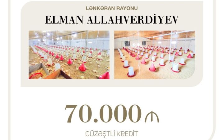 İş adamı Elman Allahverdiyev quşçuluğun inkişafı layihəsi üzrə güzəştli kredit aldı