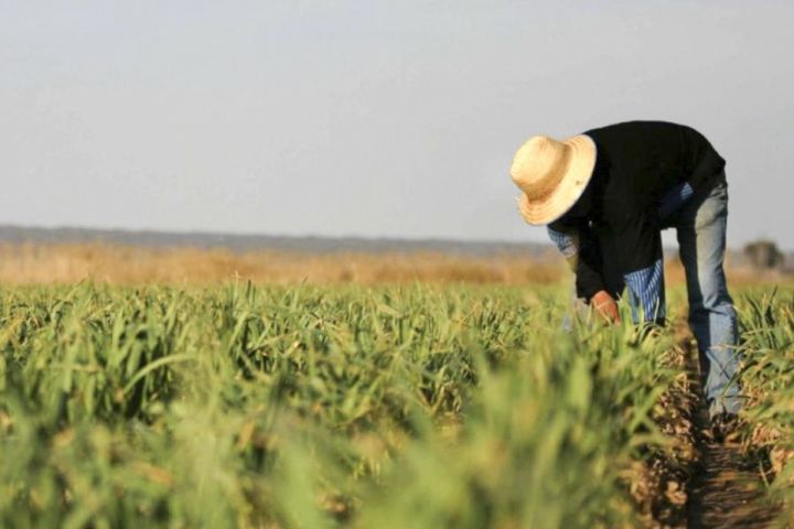 Naxçıvanda regional aqrar inkişaf mərkəzləri yaradılıb