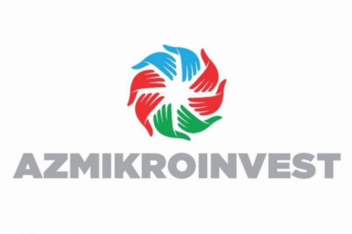 "Azmikroinvest" BOKT kiçilib və ötən ili zərərlə başa vurub