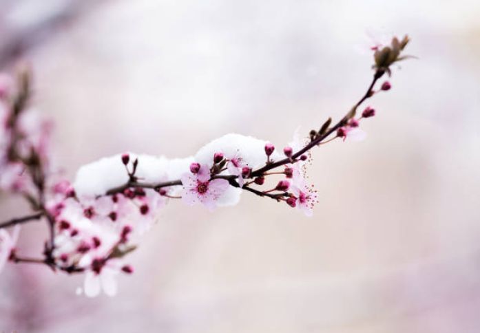 Mart ayına olan hava proqnozu açıqlandı