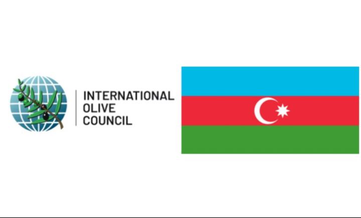 Azərbaycan Beynəlxalq Zeytun Şurasına üzv qəbul edilib