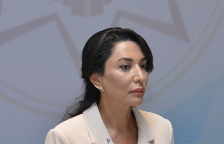 Ombudsmanın qanunvericilik təşəbbüsü hüququ istəyir