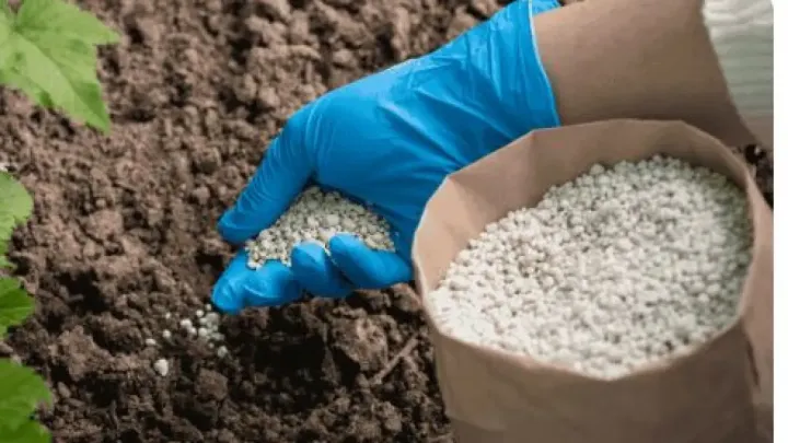 Hörmüz böhranı gübrəni bahalaşdırdı – Qiymət 9 ayda 28,4% artıb