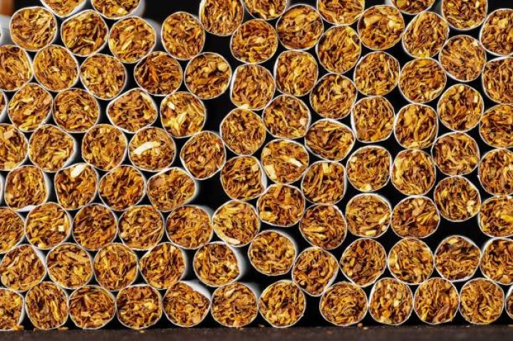 Tütün şirkətinin ixracı 40 milyon dolları keçib
